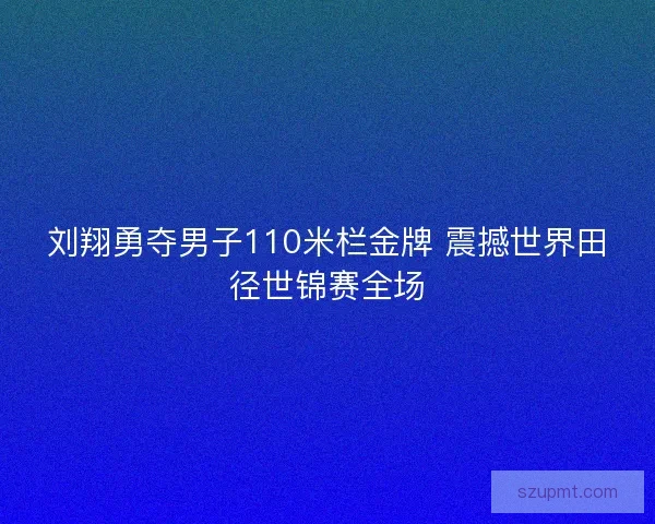 刘翔勇夺男子110米栏金牌 震撼世界田径世锦赛全场