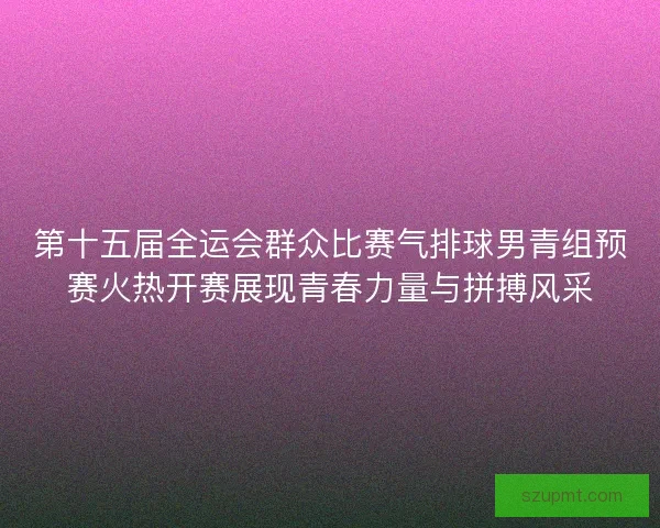 第十五届全运会群众比赛气排球男青组预赛火热开赛展现青春力量与拼搏风采 第十五届全运会群众比赛气排球男青组预赛火热开赛展现青春力量与拼搏风采