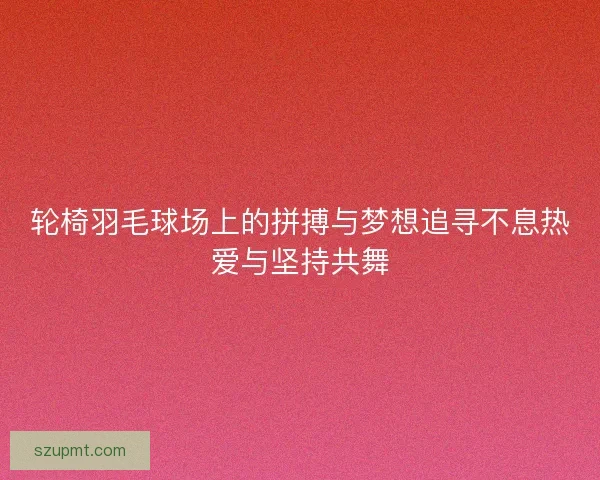 轮椅羽毛球场上的拼搏与梦想追寻不息热爱与坚持共舞 轮椅羽毛球场上的拼搏与梦想追寻不息热爱与坚持共舞