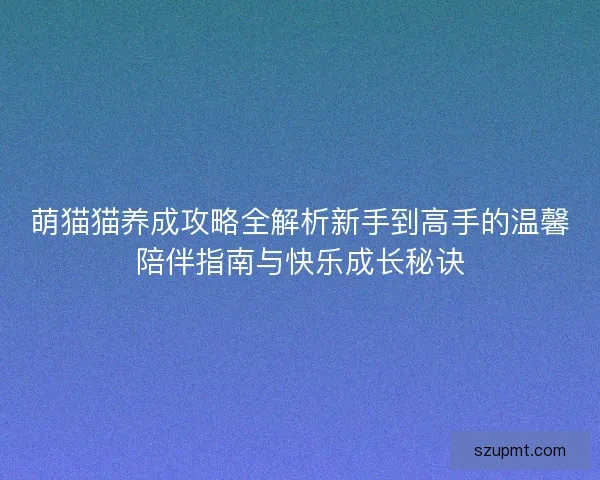 萌猫猫养成攻略全解析新手到高手的温馨陪伴指南与快乐成长秘诀 萌猫猫养成攻略全解析新手到高手的温馨陪伴指南与快乐成长秘诀